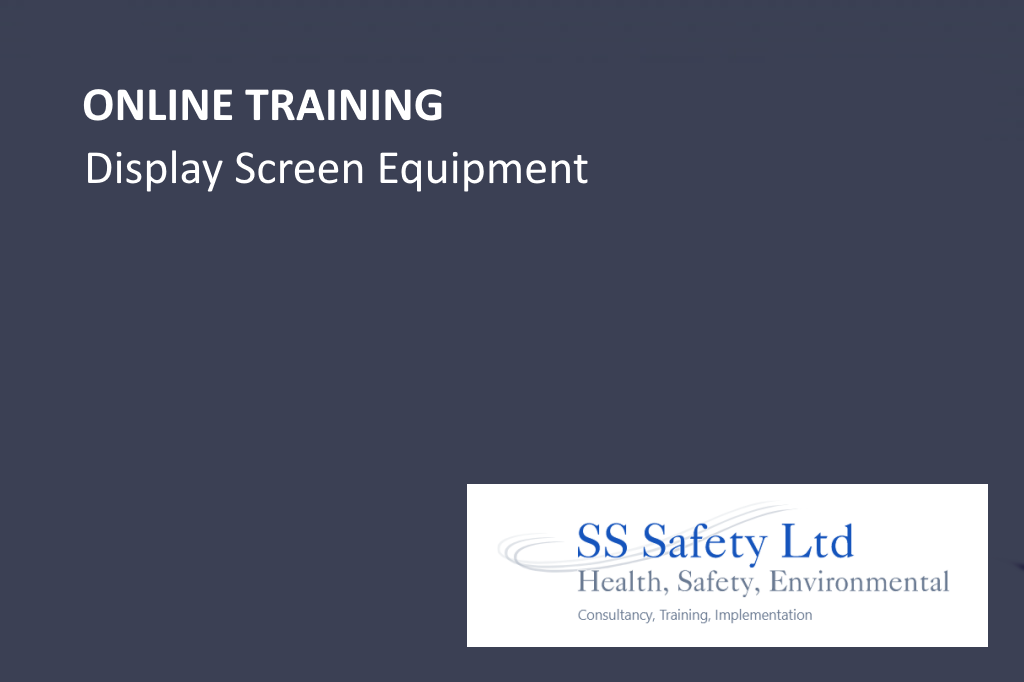 Display Screen Equipment